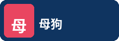 母狗